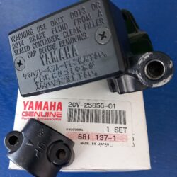 Yamaha XV125 TDR250 TDR240 XV535 XV400 XTZ750 Hauptbremszylinder kompl. neu 2GV-25850-01